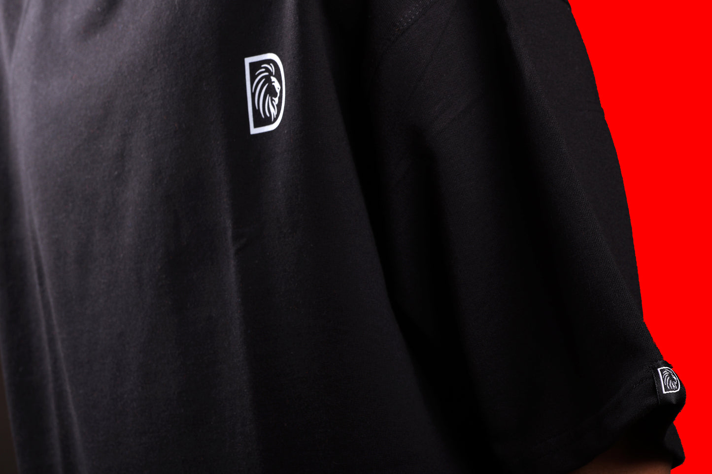 Brilliantly Ideal : Black Oversize T-shirt