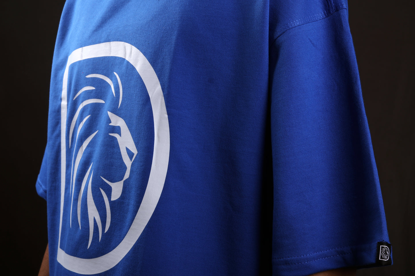 D1-Core : Where it all Began | Oversize T-shirt | Royal Blue